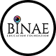 /images/our-partners/BINAE.png